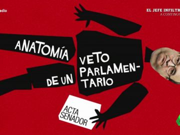 Anatomía de un veto parlamentario: Wyoming analiza las "misteriosas motivaciones para cargarse la carrera de Iceta como senador" Anatomía de un veto parlamentario: Wyoming analiza las "misteriosas motivaciones para cargarse la carrera de Iceta como senador"
