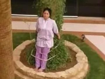 Una familia saudí ata a su empleada del hogar a un árbol como "castigo" Una familia saudí ata a su empleada del hogar a un árbol como "castigo"