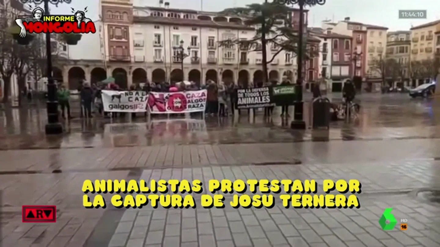 Protesta animalista Protesta animalista