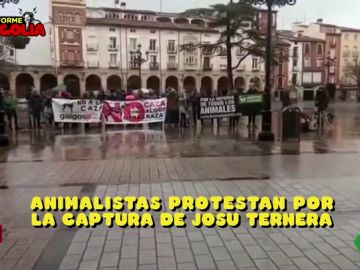Protesta animalista Protesta animalista