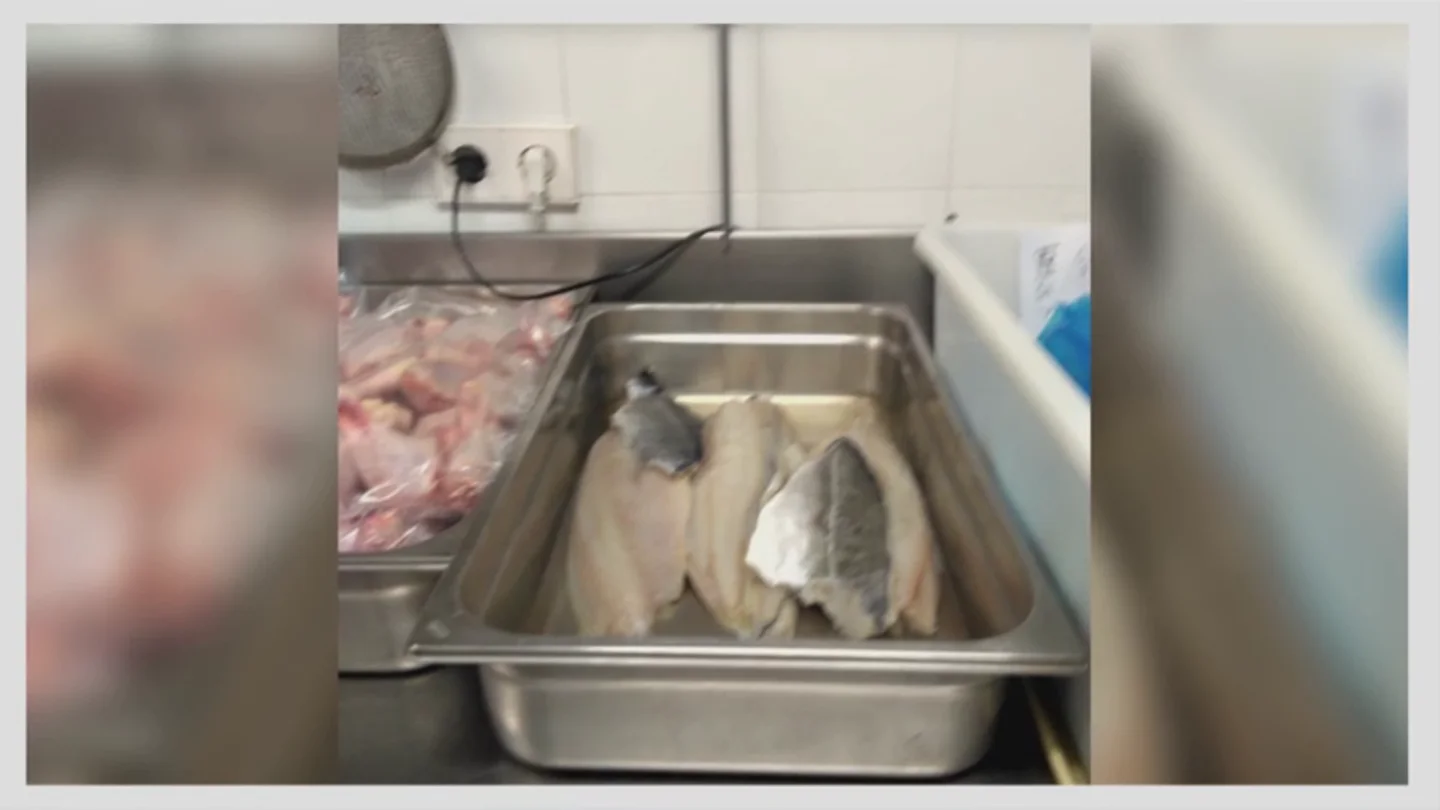 "No les nutren, solo les llenan el estómago": las fatales consecuencias de alimentar a los ancianos con pescado mal congelado "No les nutren, solo les llenan el estómago": las fatales consecuencias de alimentar a los ancianos con pescado mal congelado