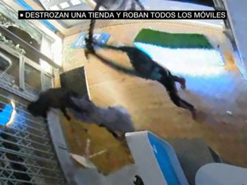 Varios ladrones entran a hachazos en una tienda de telefonía móvil de Elda, Alicante Varios ladrones entran a hachazos en una tienda de telefonía móvil de Elda, Alicante