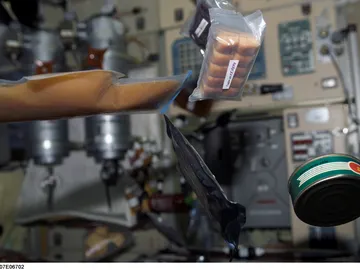 Dieta astronauta Dieta astronauta