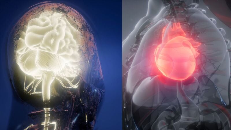 Recomendaciones para prevenir la demencia