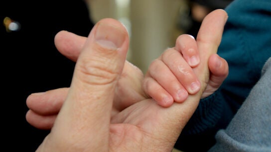 Las manos de un adulto y un beb&eacute;