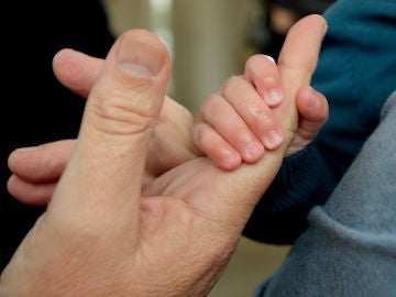 Las manos de un adulto y un bebé Las manos de un adulto y un bebé