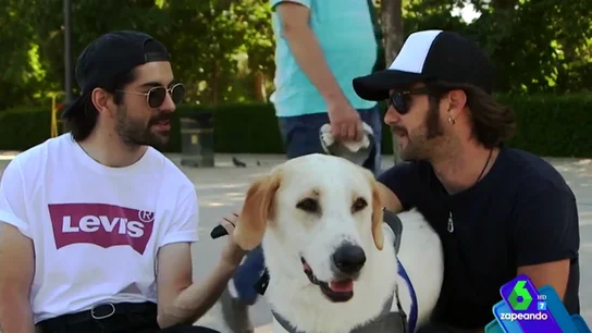 Fortfast pregunta a los jóvenes sobre sus mascotas Fortfast pregunta a los jóvenes sobre sus mascotas