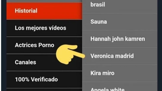 Captura de las búsquedas de una página porno Captura de las búsquedas de una página porno