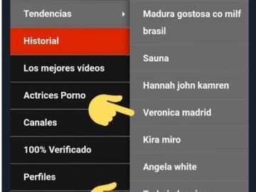 Captura de las búsquedas de una página porno Captura de las búsquedas de una página porno