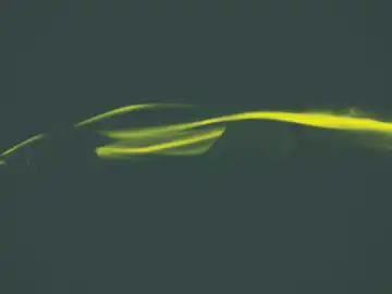 Lotus Type I30 Lotus Type I30