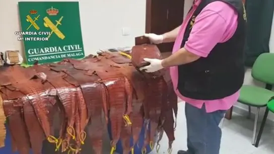 Mercancía incautada por la Guardia Civil Mercancía incautada por la Guardia Civil