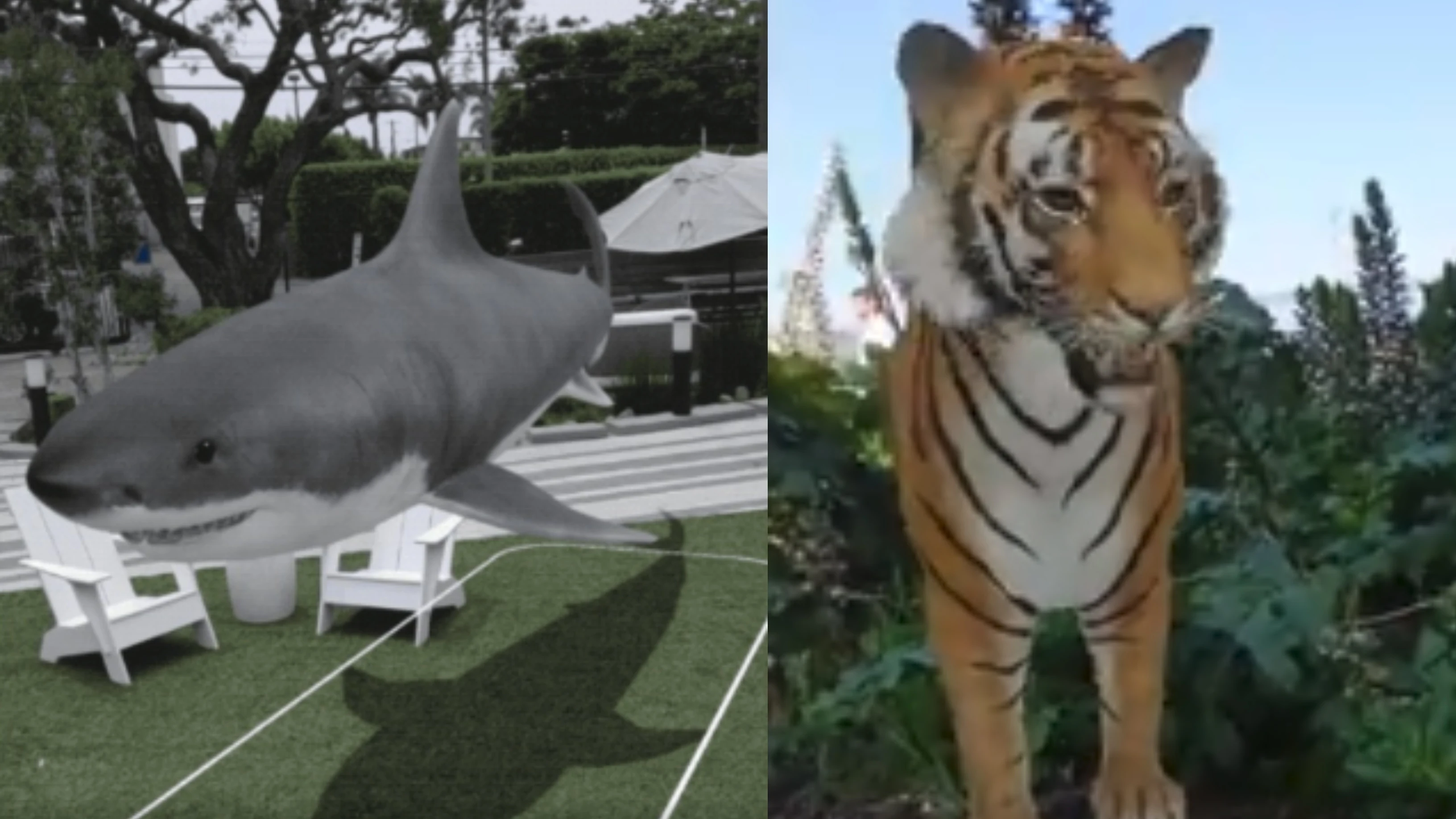 Búsuqedas animales en realidad aumentada