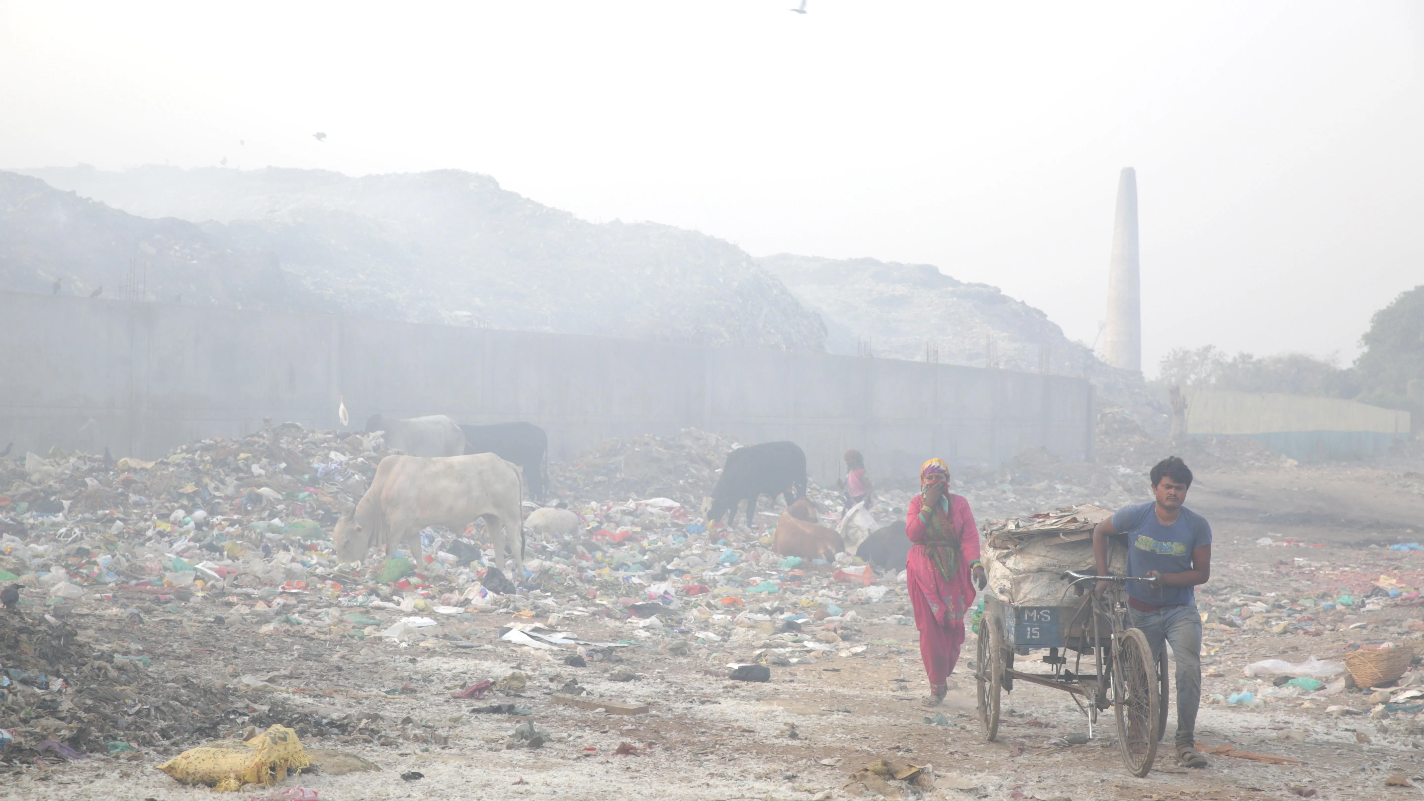 Amritsar (India). Los países asiáticos, los más afectados por la contaminación del aire. 