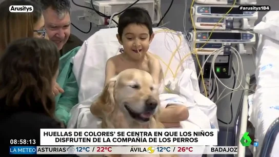 La felicidad de los niños del 12 de Octubre con Zenit, el perro del Hospital: "Me gusta cepillarle" La felicidad de los niños del 12 de Octubre con Zenit, el perro del Hospital: "Me gusta cepillarle"