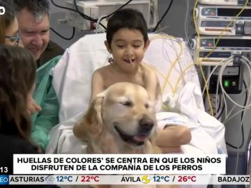 La felicidad de los niños del 12 de Octubre con Zenit, el perro del Hospital: "Me gusta cepillarle" La felicidad de los niños del 12 de Octubre con Zenit, el perro del Hospital: "Me gusta cepillarle"