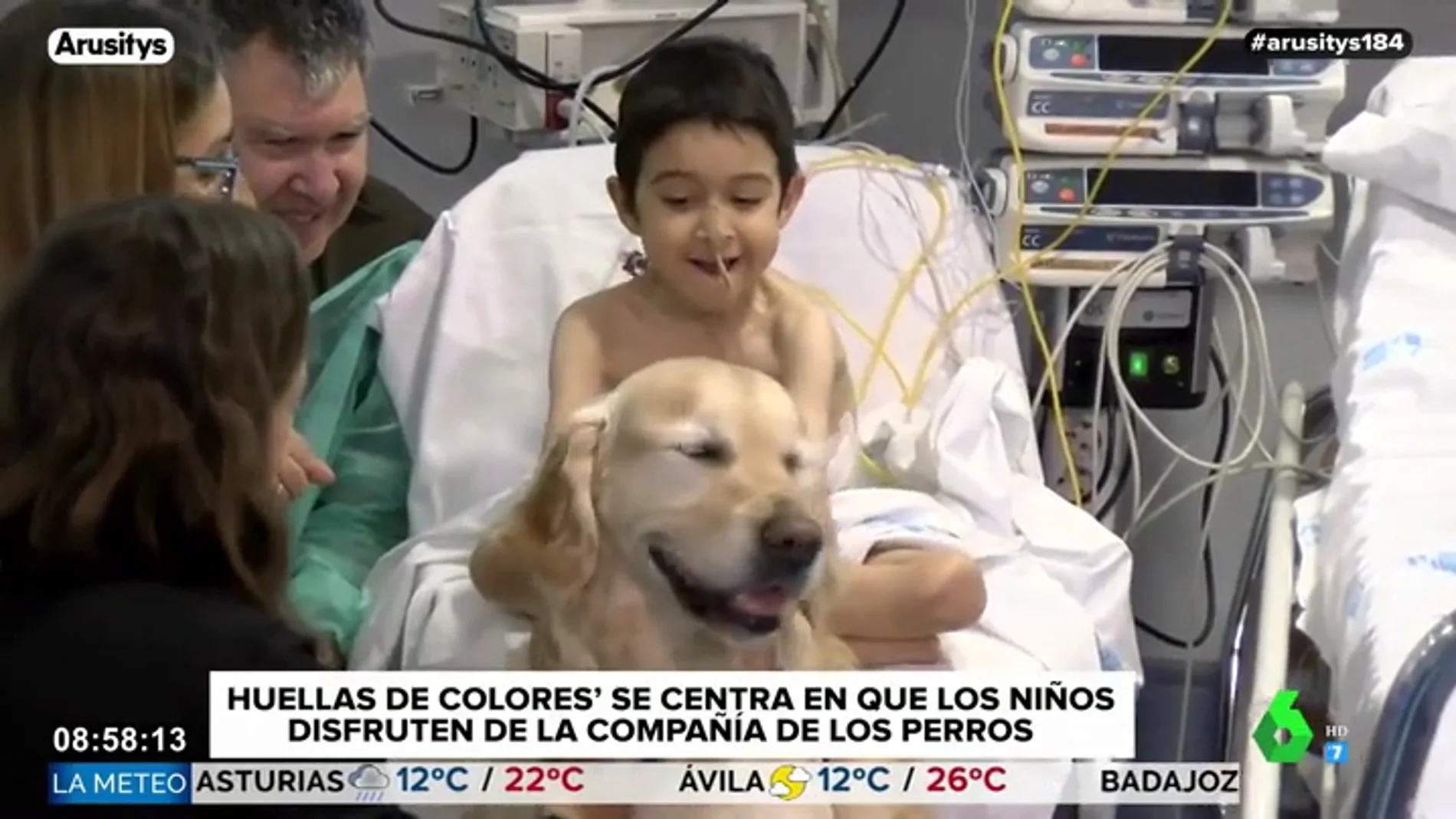 La felicidad de los niños del 12 de Octubre con Zenit, el perro del Hospital: "Me gusta cepillarle"
