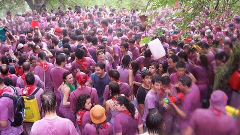 Batalla del Vino