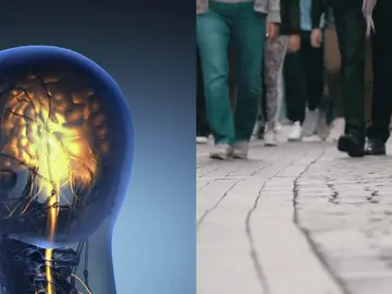 Los mitos que todos creemos sobre nuestro cuerpo y realmente son falsos Los mitos que todos creemos sobre nuestro cuerpo y realmente son falsos