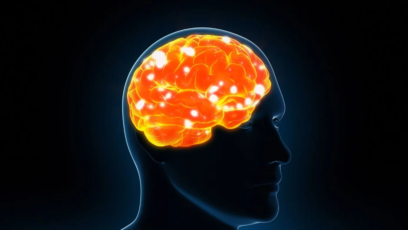 Cerebro
