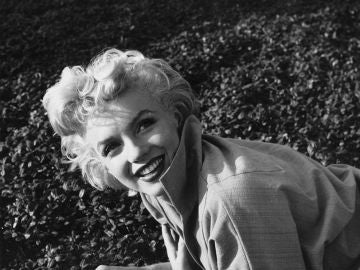 Marilyn Monroe Marilyn Monroe