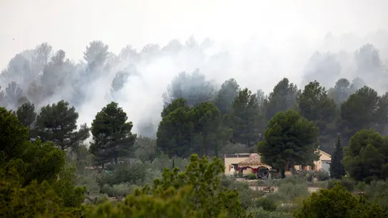 El incendio declarado en el municipio tarraconense de El Perelló El incendio declarado en el municipio tarraconense de El Perelló