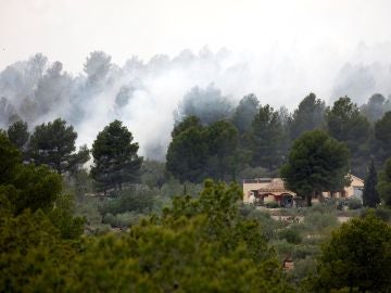 El incendio declarado en el municipio tarraconense de El Perelló El incendio declarado en el municipio tarraconense de El Perelló