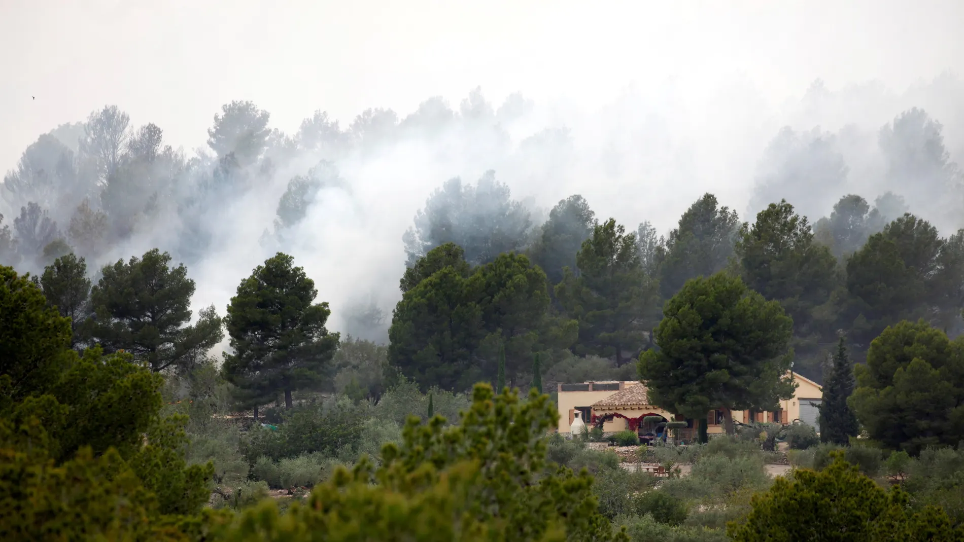 El incendio declarado en el municipio tarraconense de El Perelló 