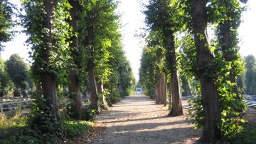 Christiansfeld