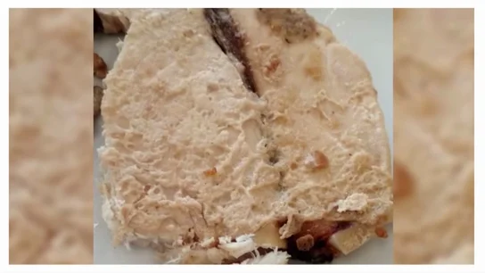 Cuando una "residencia recomendada por la Universidad de Sevilla" ofrece comida en mal estado a los estudiantes Cuando una "residencia recomendada por la Universidad de Sevilla" ofrece comida en mal estado a los estudiantes