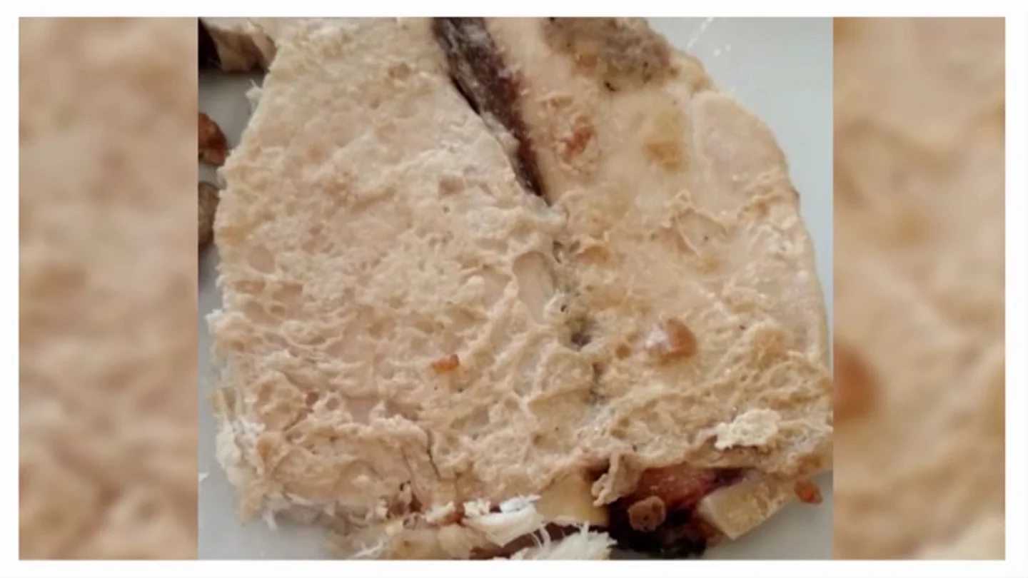 Cuando una "residencia recomendada por la Universidad de Sevilla" ofrece comida en mal estado a los estudiantes Cuando una "residencia recomendada por la Universidad de Sevilla" ofrece comida en mal estado a los estudiantes