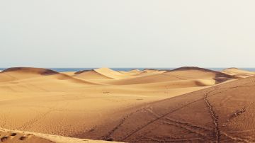 Dunas Gran Canaria