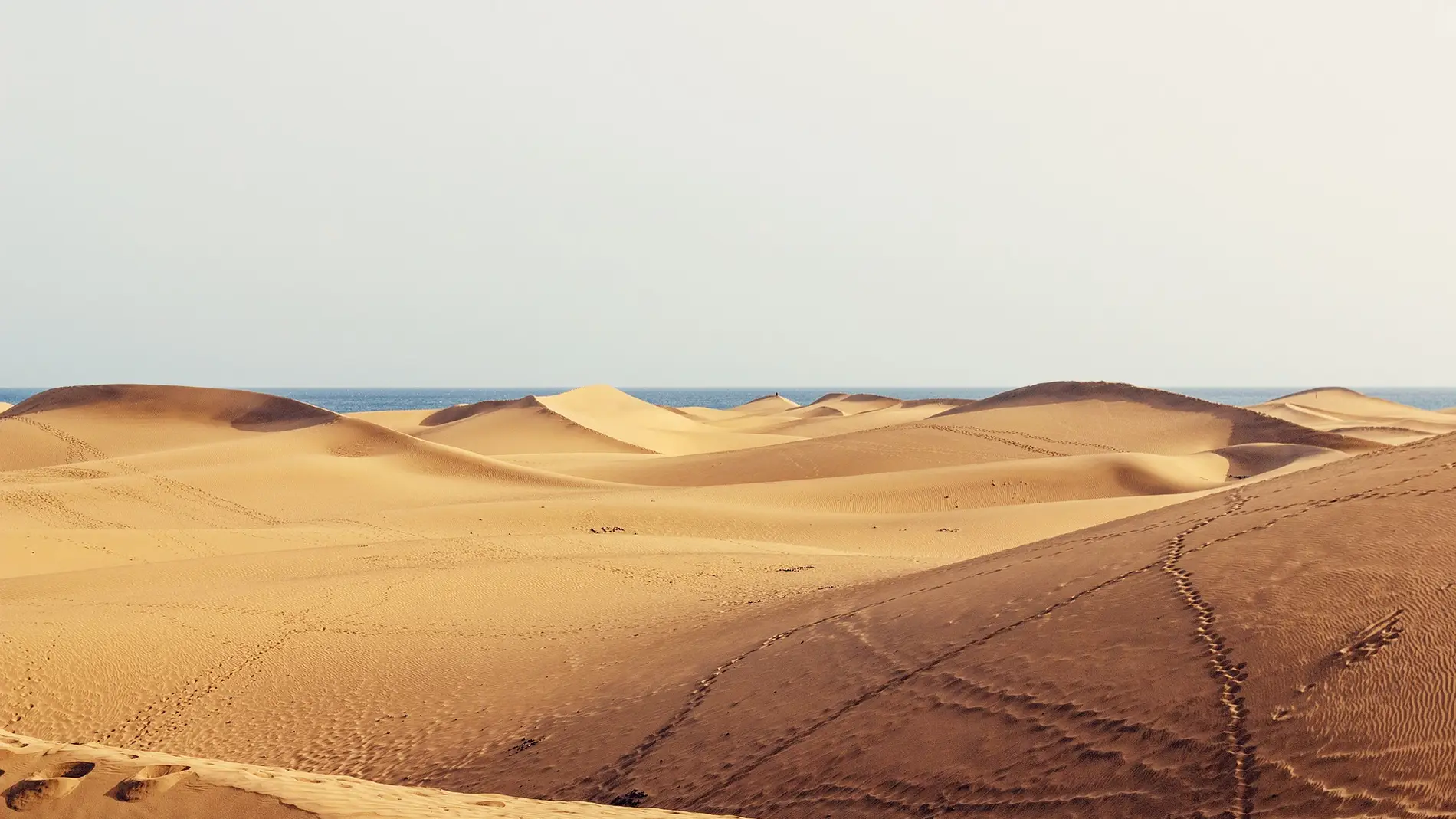 Dunas Gran Canaria