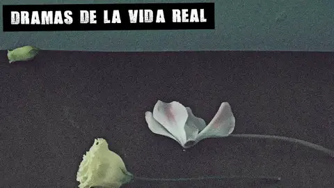 Portada de Cuaderno de campo, de María Sánchez Dramas de la vida real