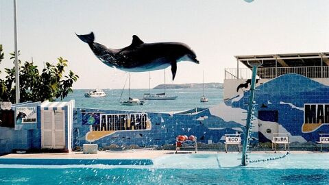 Marineland
