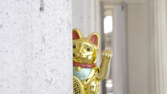 Imagen de un gato chino Imagen de un gato chino