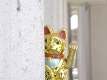 Imagen de un gato chino Imagen de un gato chino
