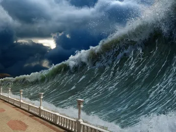 Tsunami Tsunami