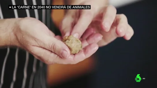 La carne que 'no es carne' llegará en 2040 y desde un laboratorio: contamina 30 veces menos y es más sana La carne que 'no es carne' llegará en 2040 y desde un laboratorio: contamina 30 veces menos y es más sana