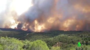 El incendio forestal de Tarragona arrasa al menos 2.500 hectáreas y provoca el desalojo de 100 personas El incendio forestal de Tarragona arrasa al menos 2.500 hectáreas y provoca el desalojo de 100 personas