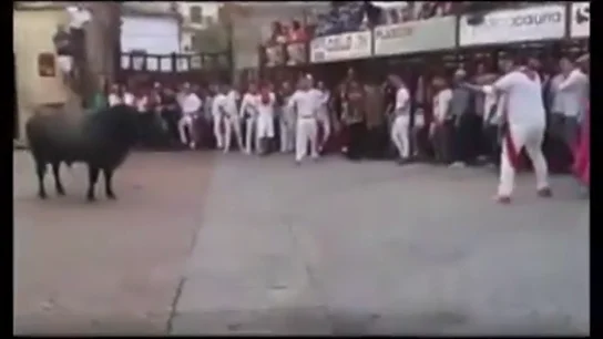 Las impactantes imágenes de la muerte de un toro por un disparo en las fiestas de Coria, Cáceres Las impactantes imágenes de la muerte de un toro por un disparo en las fiestas de Coria, Cáceres