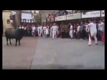 Las impactantes imágenes de la muerte de un toro por un disparo en las fiestas de Coria, Cáceres Las impactantes imágenes de la muerte de un toro por un disparo en las fiestas de Coria, Cáceres