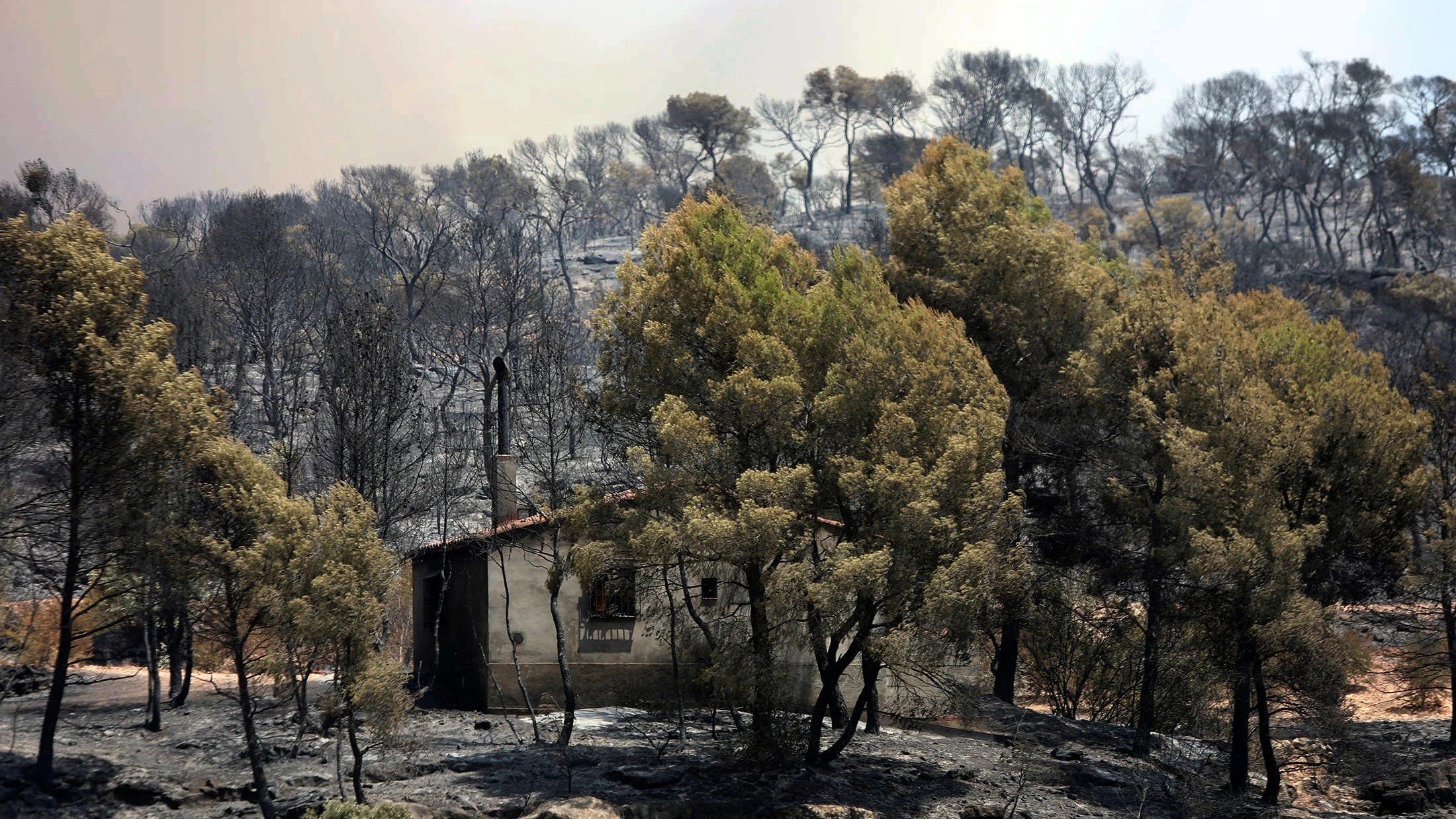 El incendio forestal arrasa varios términos municipales