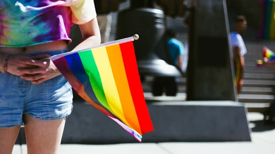 Bandera LGTBI Bandera LGTBI