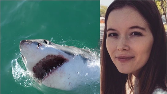 Jordan Lindsay Jordan Lindsay