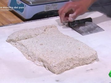 Masa madre con la que se hace el pan Masa madre con la que se hace el pan