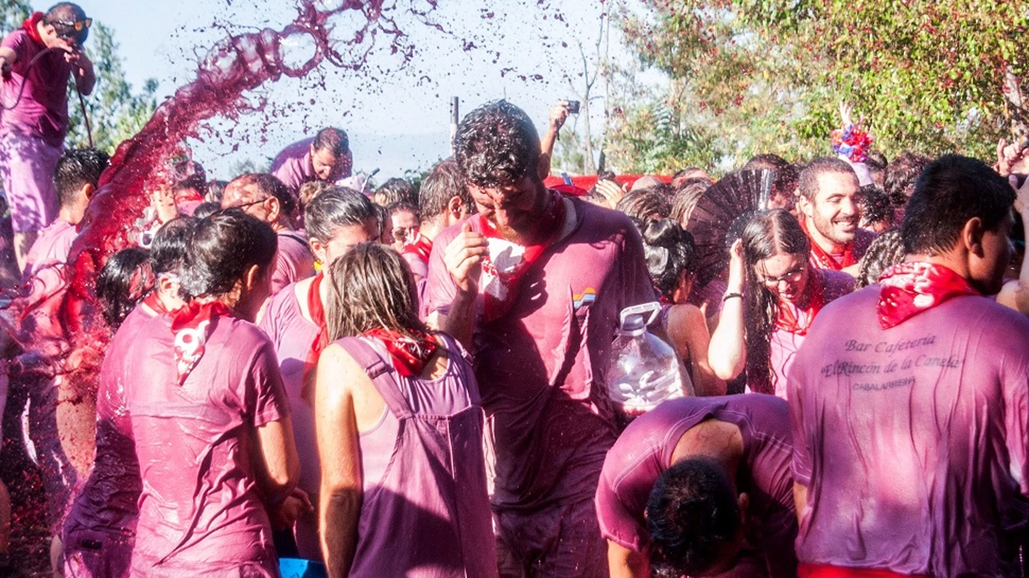 La fiesta del vino en La Rioja La fiesta del vino en La Rioja