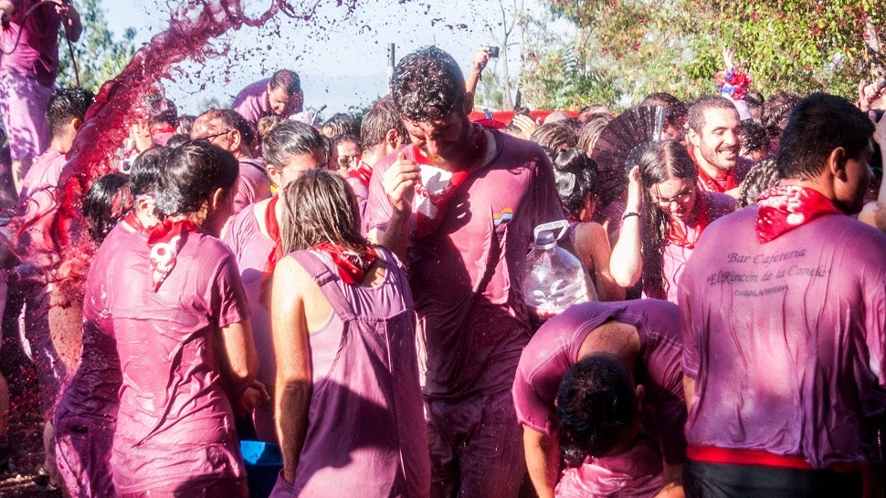 La fiesta del vino en La Rioja