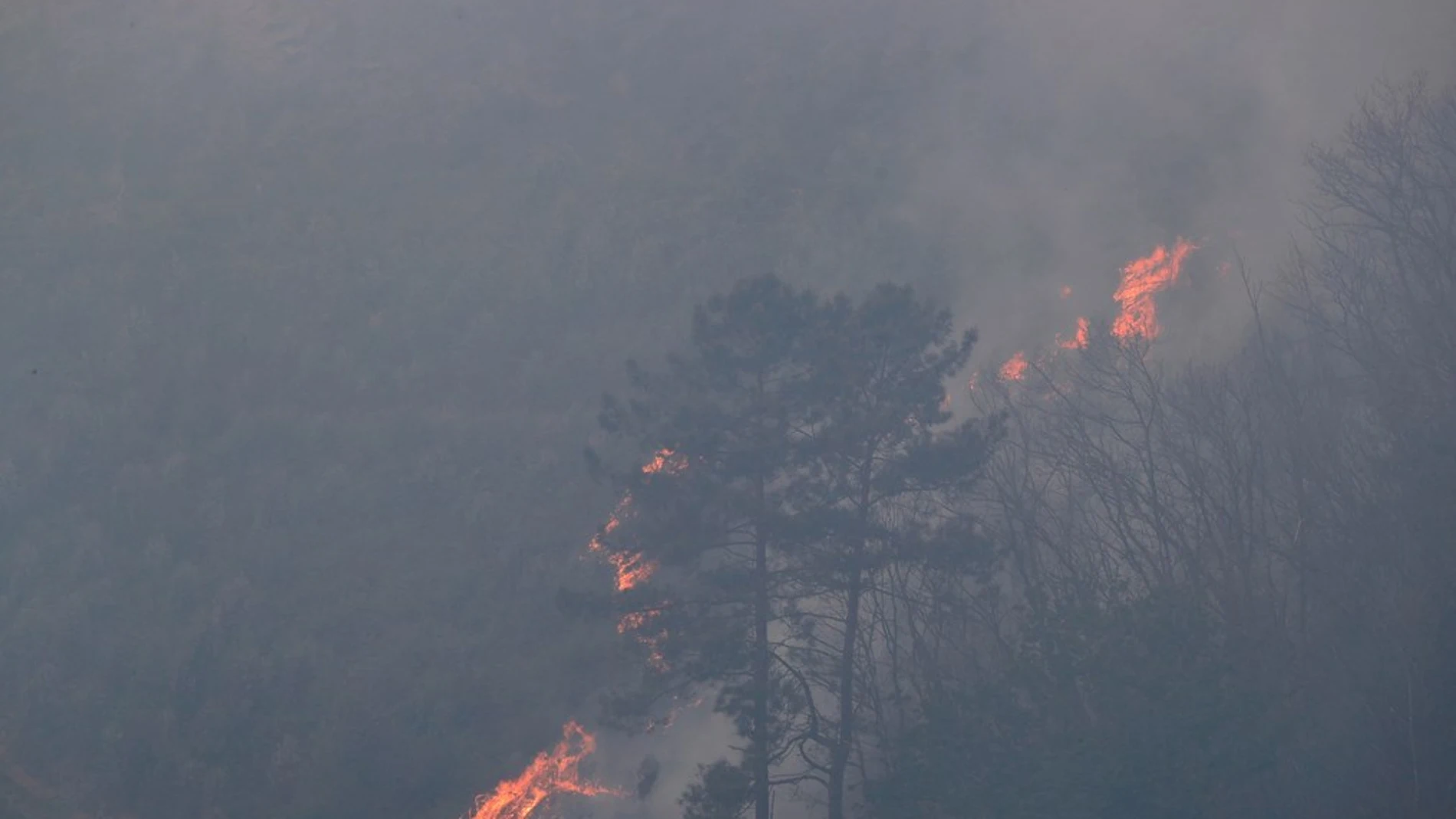 Imagen del incendio en Gavilanes, Ávila