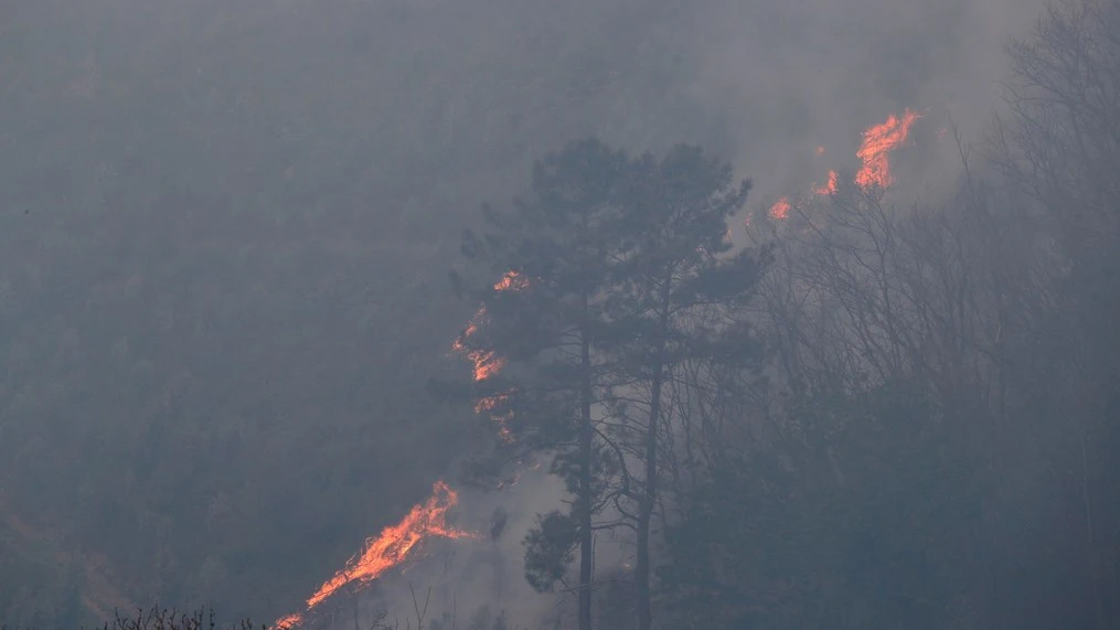 Imagen del incendio en Gavilanes, Ávila