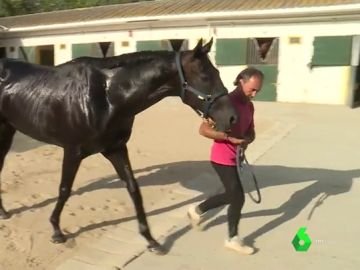 Un entrenador profesional de caballos de carreras Un entrenador profesional de caballos de carreras